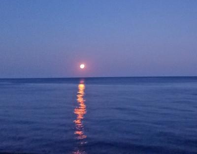 Прикрепленное изображение: 015-1.jpg